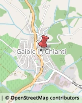 Comuni e Servizi Comunali Gaiole in Chianti,53013Siena