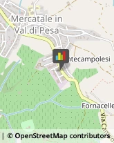 Tipografie San Casciano in Val di Pesa,50020Firenze