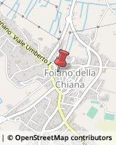 Macellerie Foiano della Chiana,52045Arezzo