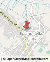 Gioiellerie e Oreficerie - Dettaglio Foiano della Chiana,52045Arezzo