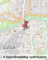 Pelliccerie Lucca,55100Lucca