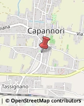 Trasporti Capannori,55012Lucca