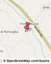 Pannelli - Commercio e Produzione Pesaro,61121Pesaro e Urbino