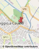 ,59016Prato