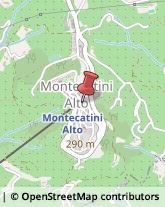 Trasporti Montecatini Terme,51016Pistoia