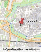 Scuole e Corsi di Lingua Lucca,55100Lucca
