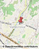 Tour Operator e Agenzia di Viaggi Vallecrosia,18019Imperia