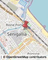 Relazioni Pubbliche Senigallia,60019Ancona