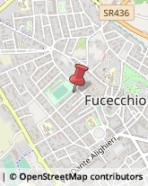 Autotrasporti Fucecchio,50054Firenze