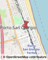 Animali Domestici - Toeletta Porto San Giorgio,63822Fermo