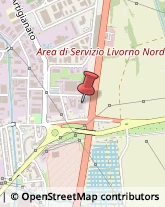 Amministrazioni Immobiliari Livorno,57121Livorno