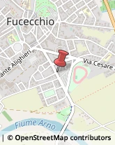 Sport - Scuole Fucecchio,50054Firenze