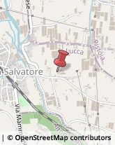 Sartorie,55010Lucca