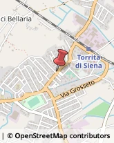 Leasing Torrita di Siena,53049Siena