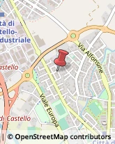 Recupero Crediti Città di Castello,06012Perugia