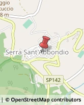 Bestiame - Allevamento e Commercio Serra Sant'Abbondio,61040Pesaro e Urbino