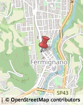 Piante e Fiori - Dettaglio Fermignano,61033Pesaro e Urbino
