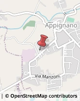 Falegnami Appignano,62010Macerata