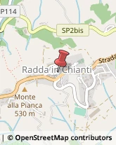 Musei e Pinacoteche Radda in Chianti,53017Siena