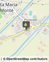 Carte di Credito - Servizi Santa Maria a Monte,56020Pisa