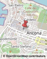 Accademie Ancona,60121Ancona
