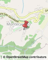 Bed e Breakfast Montecarotto,60036Ancona