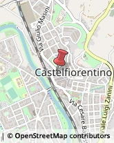 Partiti e Movimenti Politici Castelfiorentino,50051Firenze