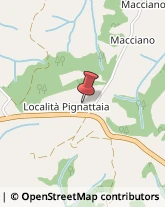 Maglieria - Dettaglio Chiusi,53043Siena