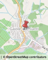 Geometri Gaiole in Chianti,53013Siena