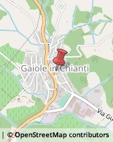 Catering e Ristorazione Collettiva Gaiole in Chianti,53013Siena