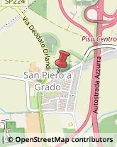 Trasporto Pubblico,56122Pisa