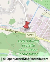 Imprese Edili,51039Pistoia