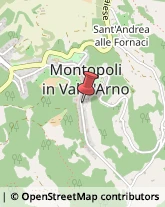 Comuni e Servizi Comunali Montopoli in Val d'Arno,56020Pisa