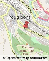 Internet - Servizi Poggibonsi,53036Siena