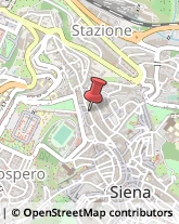 Tela Siena,53100Siena