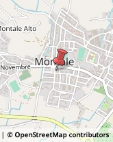 Mobili d'Epoca Montale,51037Pistoia