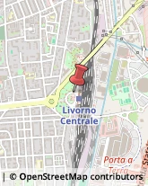 Trasporto Pubblico Livorno,57121Livorno