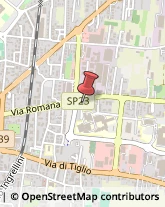 Parrucchieri,55100Lucca