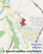 Adesivi Asciano,53041Siena