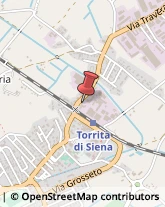 Distillerie Torrita di Siena,53049Siena