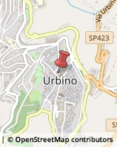 Università ed Istituti Superiori Urbino,61029Pesaro e Urbino