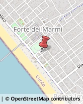 Erboristerie Forte dei Marmi,55042Lucca