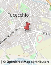 Partiti e Movimenti Politici Fucecchio,50054Firenze