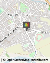 Partiti e Movimenti Politici Fucecchio,50054Firenze