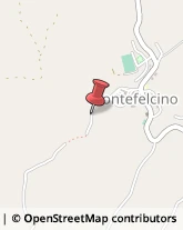 Autotrasporti Montefelcino,61030Pesaro e Urbino