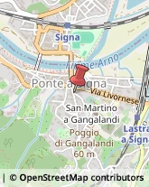 ,50055Firenze