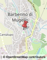 Tartufi e Funghi Barberino di Mugello,50031Firenze