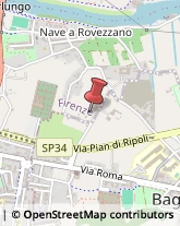 Vivai Piante e Fiori Firenze,50126Firenze