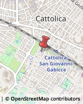 Autotrasporti Cattolica,47841Rimini