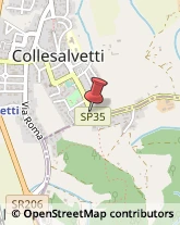 Agenti e Rappresentanti di Commercio Collesalvetti,57014Livorno